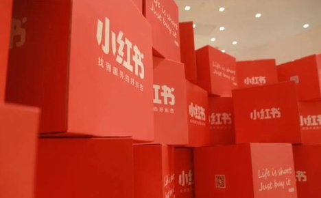 多种草AI-小红书文案轻松创作工具-免费使用